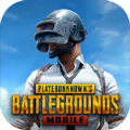 pubg（国际服）2.8安装包