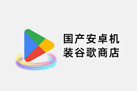 谷歌Play下载应用指南