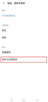 vivo手机如何隐藏软件图标