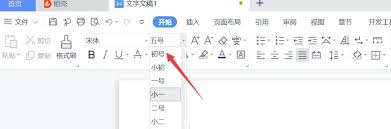 wps电脑版如何调整字体大小