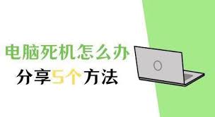 笔记本电脑死机如何处理