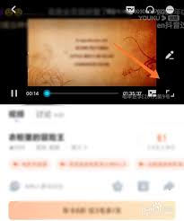 优酷视频如何切换语言