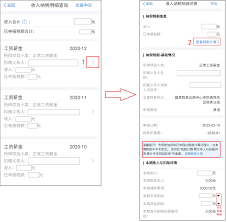 自然人电子税务局app怎么查收入纳税明细
