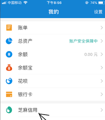 如何转支付宝芝麻粒