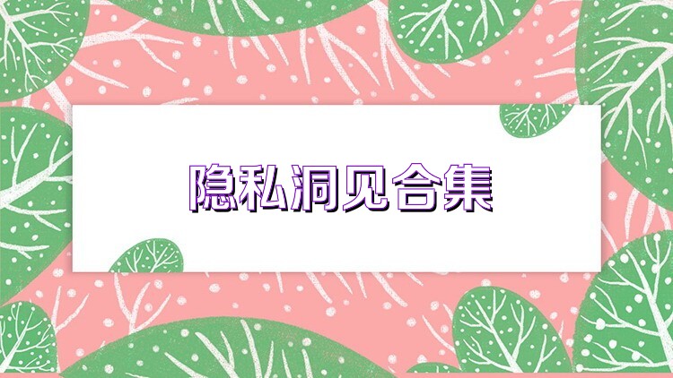 隐私洞见合集