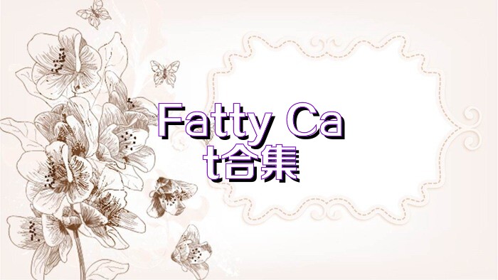 Fatty Cat合集