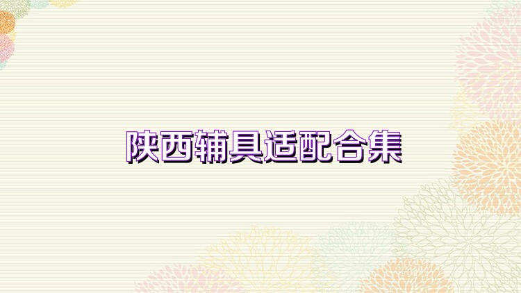 陕西辅具适配合集