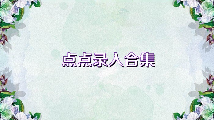 点点录入合集