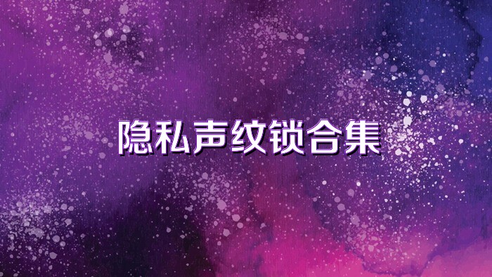 隐私声纹锁合集