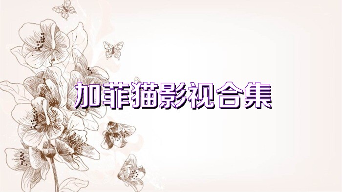 加菲猫影视合集