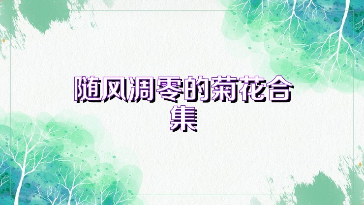 随风凋零的菊花合集