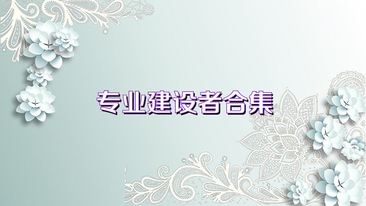 专业建设者合集