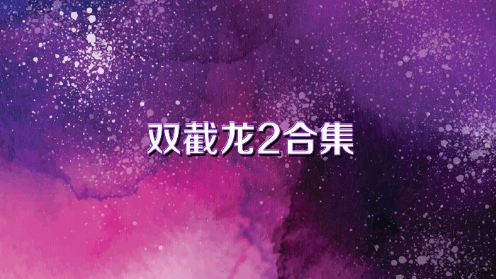 双截龙2合集