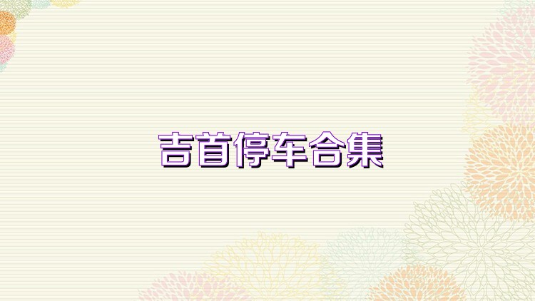 吉首停车合集