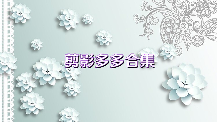 剪影多多合集