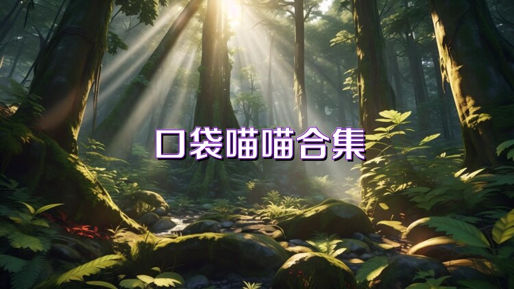 口袋喵喵合集