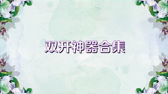 双开神器合集