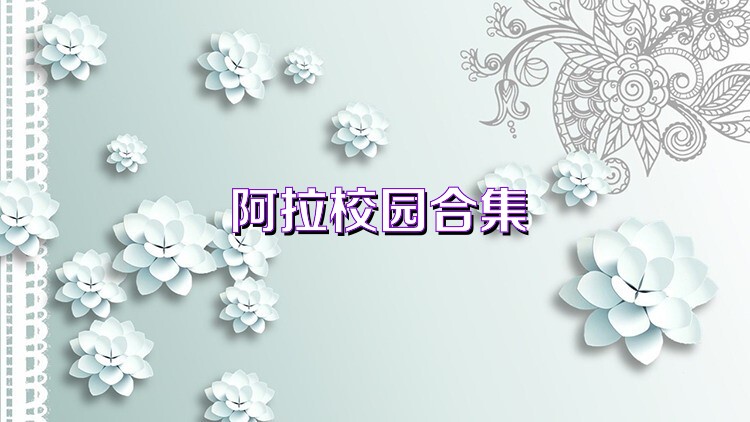 阿拉校园合集