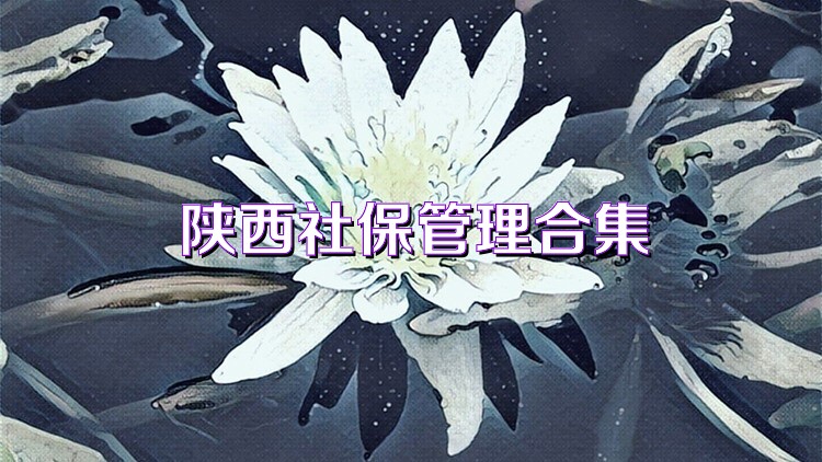 陕西社保管理合集