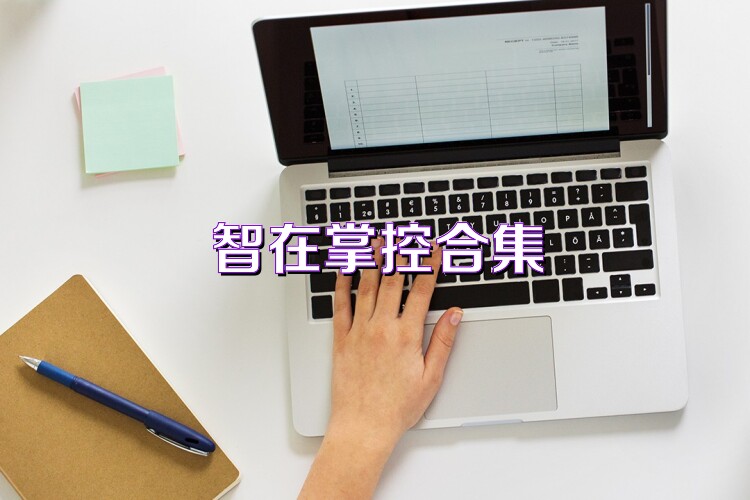 智在掌控合集