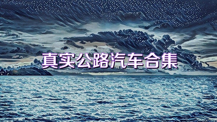 真实公路汽车合集