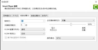 Camtasia导出视频播放错误的原因