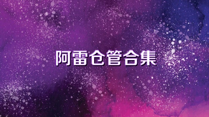 阿雷仓管合集