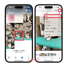 贴贴相册照片如何发布