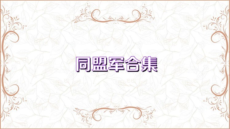 同盟军合集