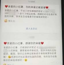 小红书举报成功后对方会受到什么惩罚
