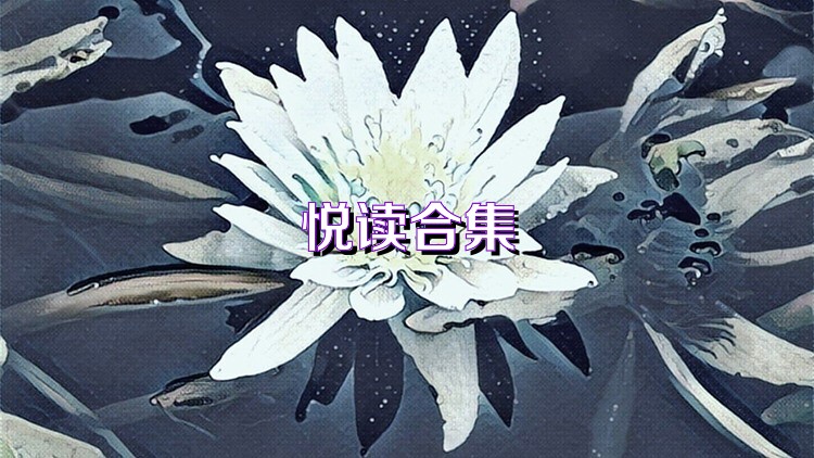 悦读合集