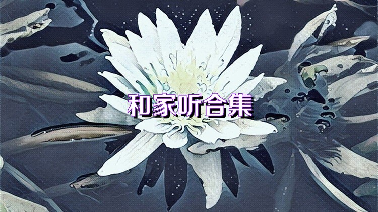 和家听合集