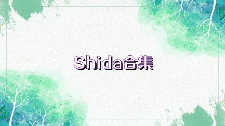 Shida合集