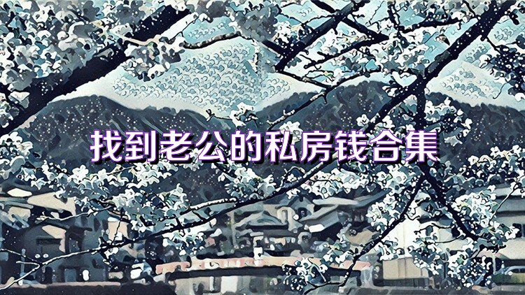 找到老公的私房钱合集