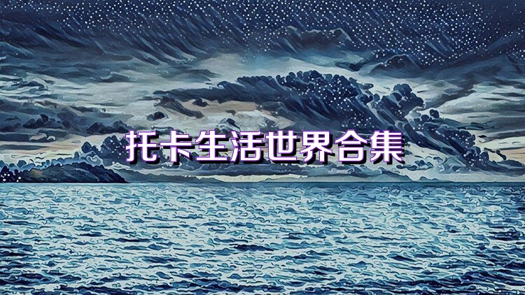 托卡生活世界合集