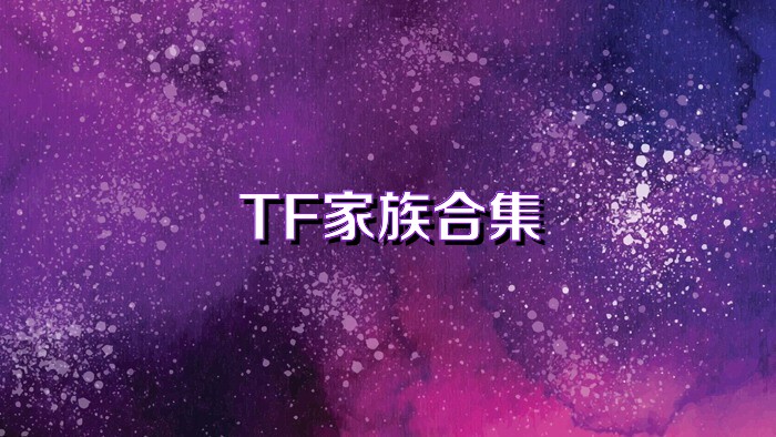 TF家族合集