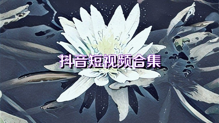 抖音短视频合集