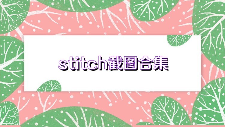 stitch截图合集