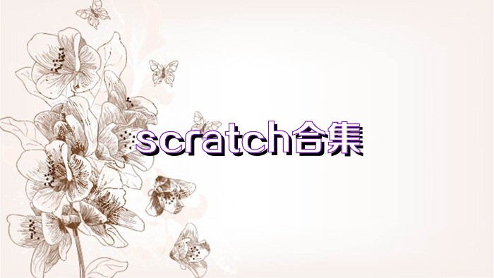 scratch合集