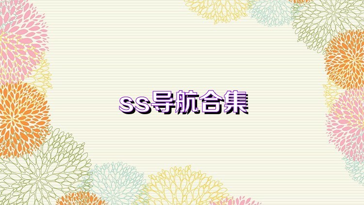 ss导航合集