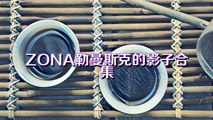 ZONA勒曼斯克的影子合集