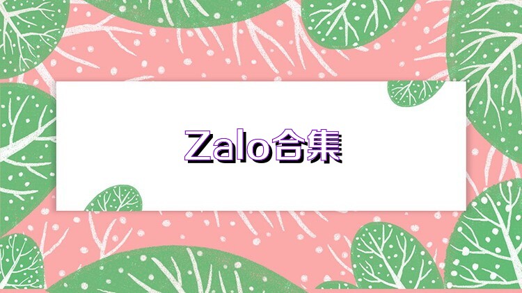 Zalo合集