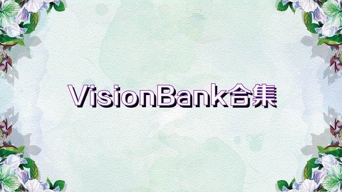 VisionBank合集