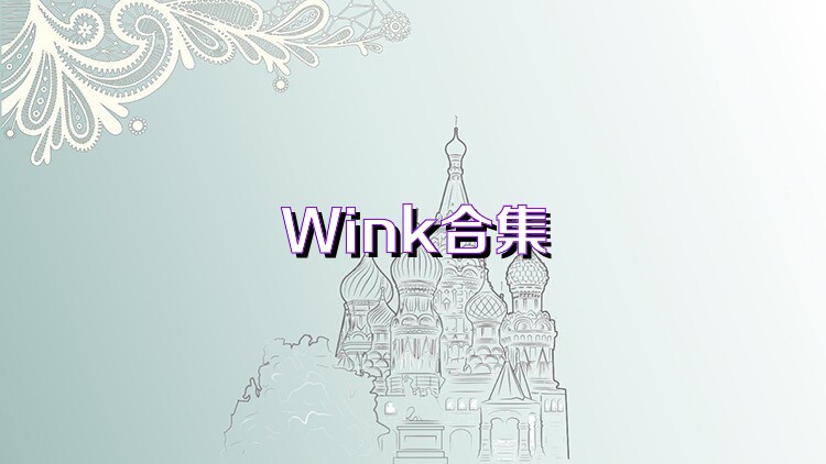 Wink合集