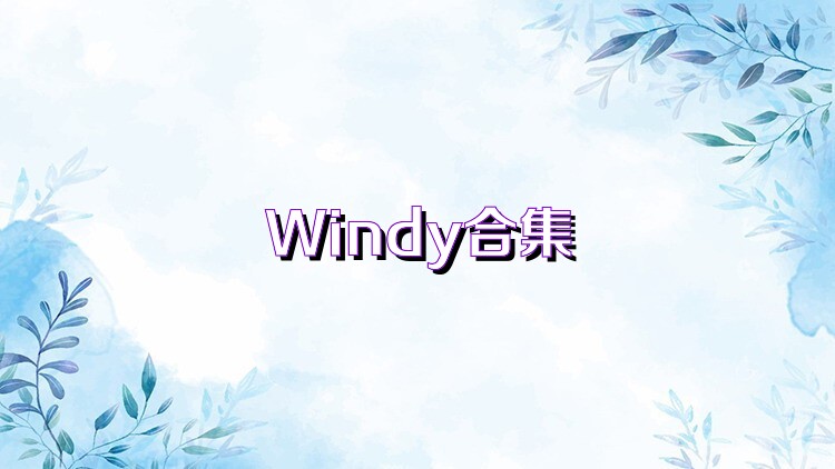 Windy合集