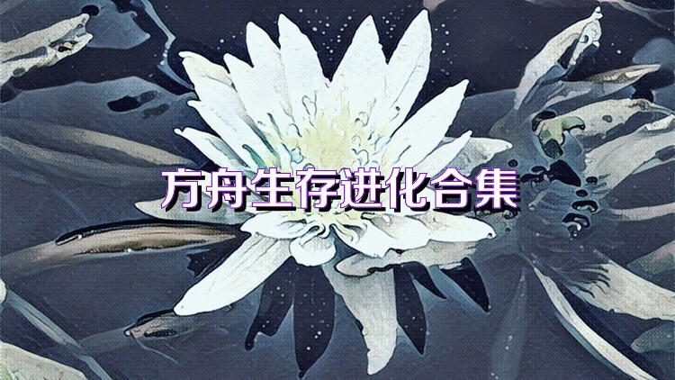 方舟生存进化合集