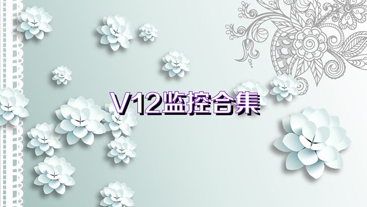 V12监控合集