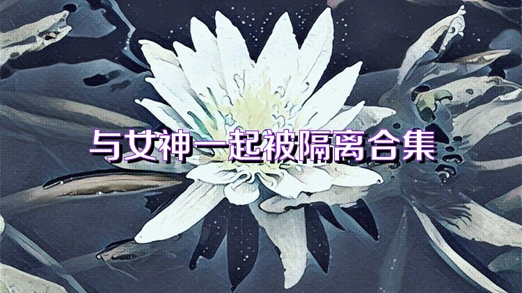 与女神一起被隔离合集