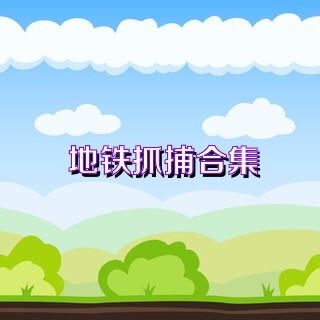 地铁抓捕合集