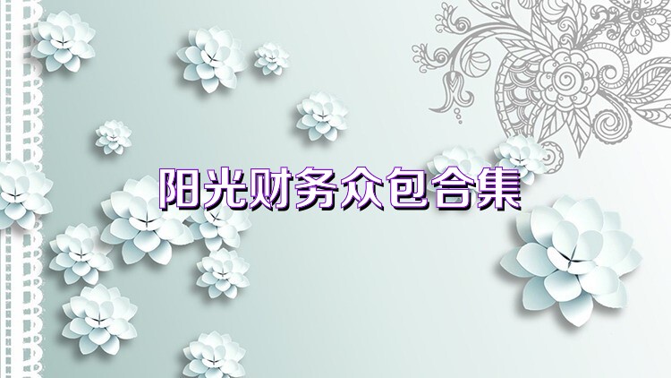 阳光财务众包合集